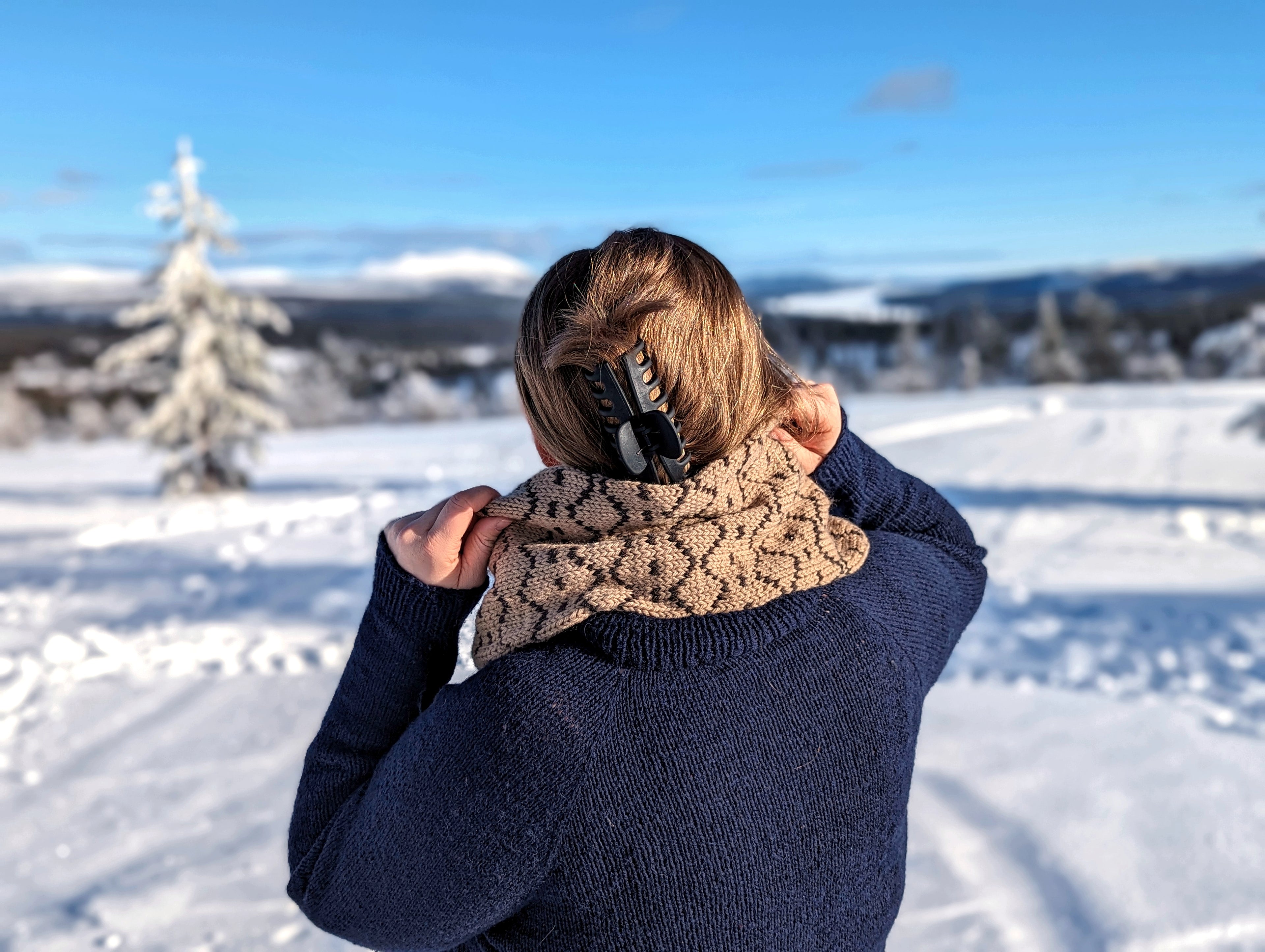 North Cowl