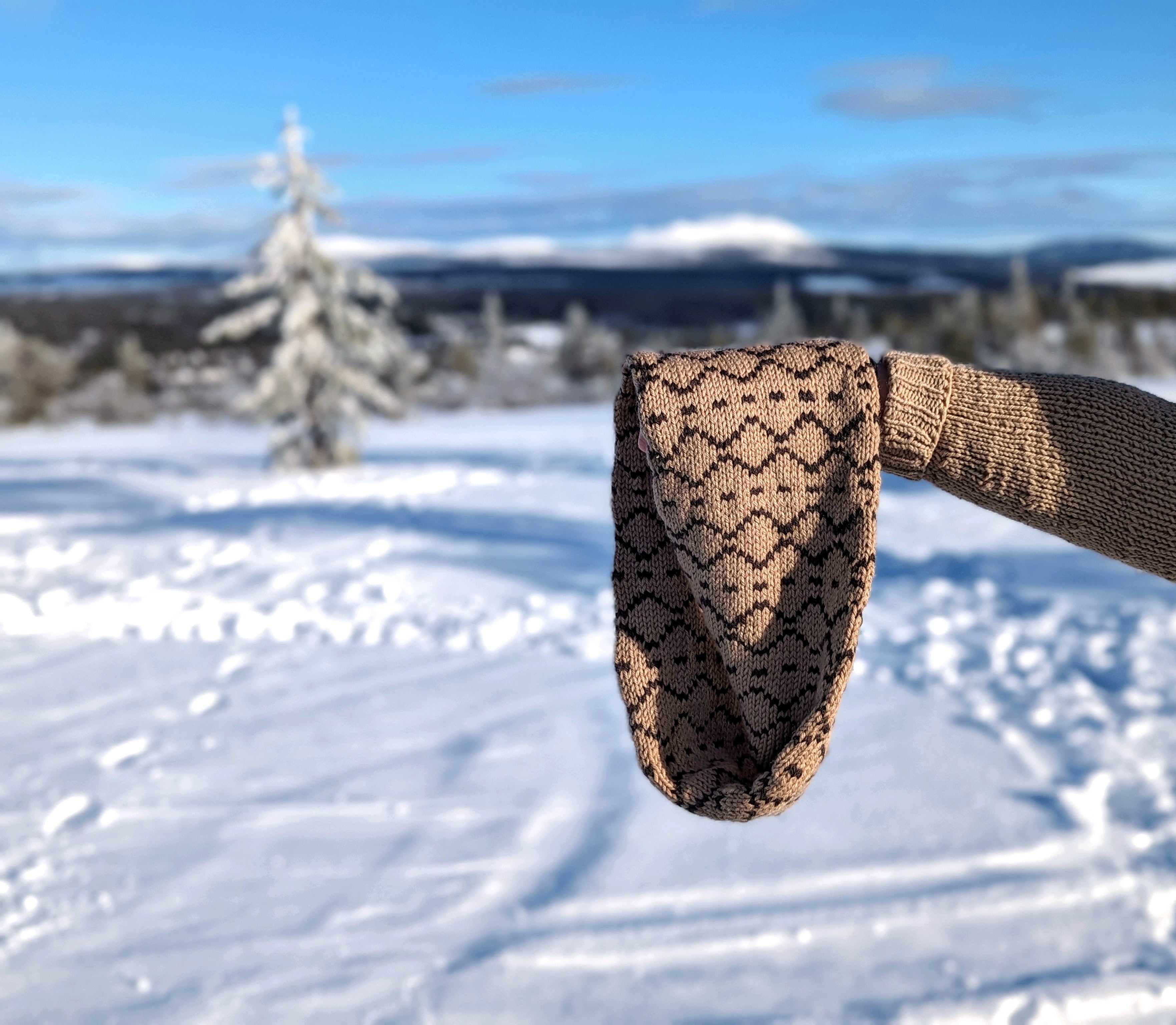 North Cowl